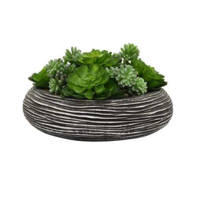 Faux Desktop Succulent Plant in Pot