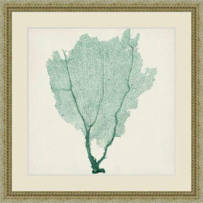 Sea Fan I