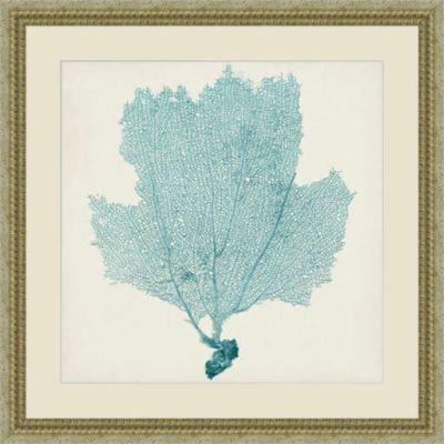 Sea Fan III