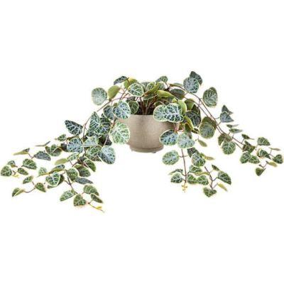 Potted Faux Eucalyptus 8"