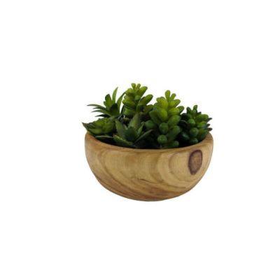 Desktop Artificial Herbs Succulent in Pot