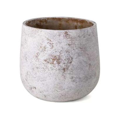 Rocio Ceramic Pot Planter
